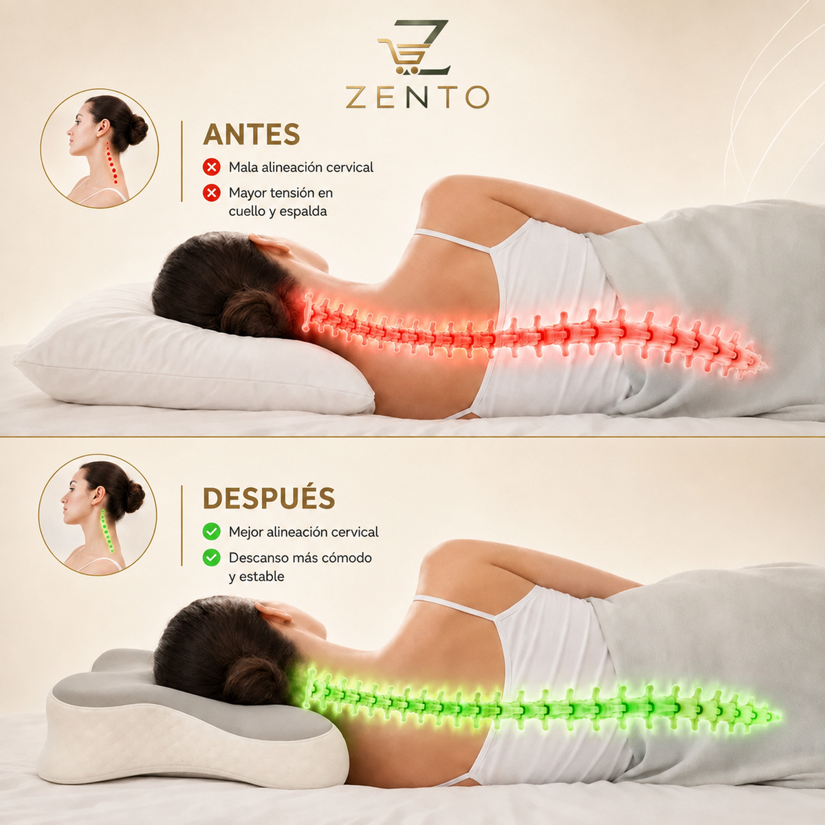 Almohada cervical y Ortopédica - Descansa mejor, despierta mejor
